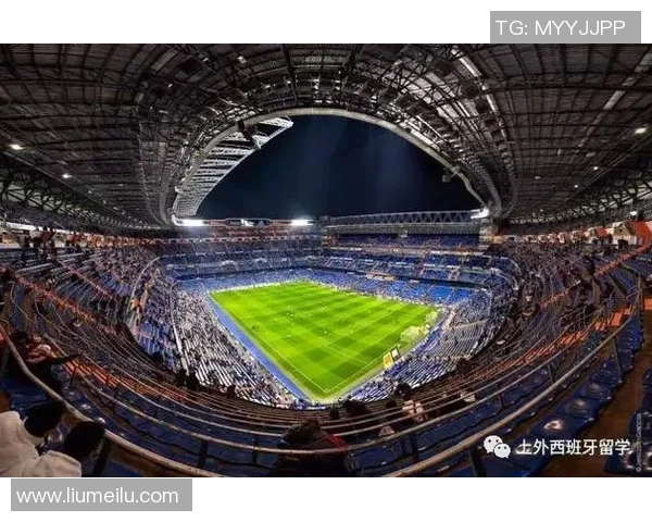 全球体育竞技大舞台：从奥运到世界杯的跨国赛事发展与影响